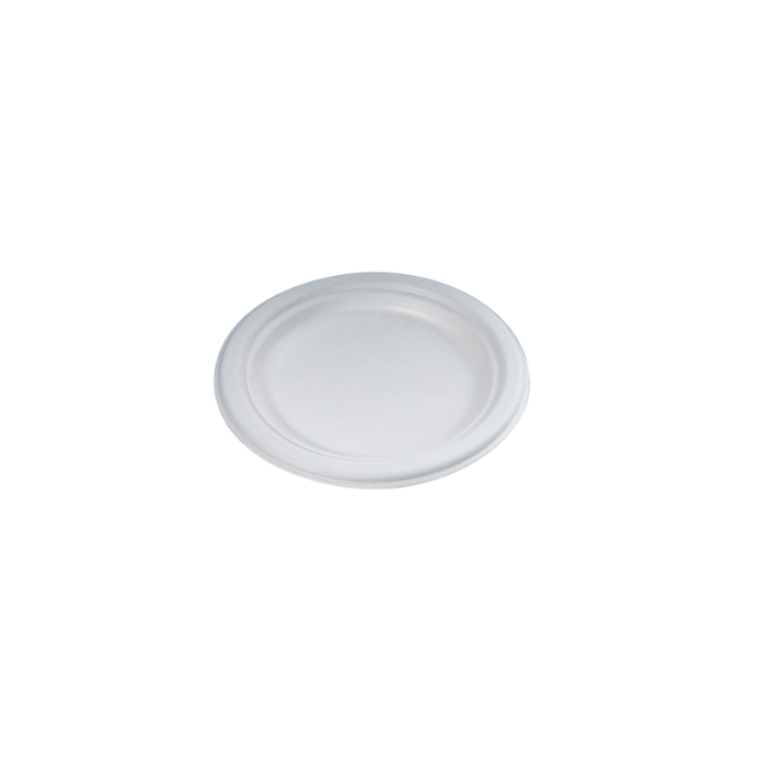 Plates - 10" Bagasse Eco Round Dinner White 500/CS